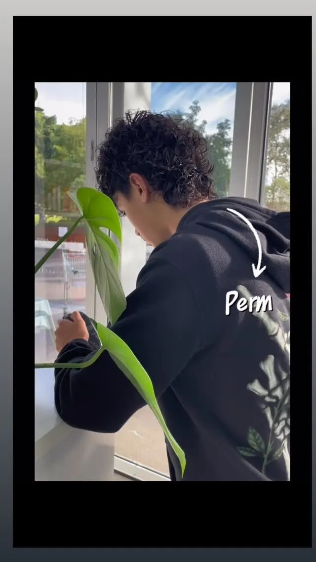 Mullet perm